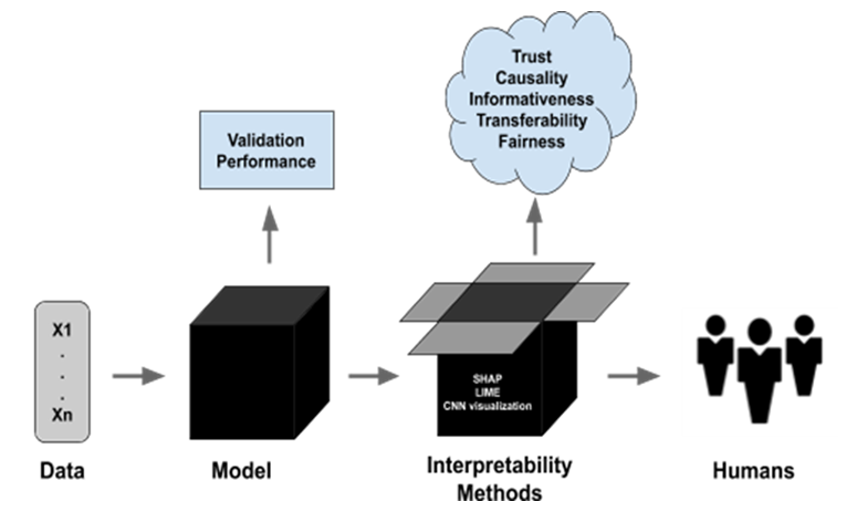 Diagram showing data flowing from model to interpretability methods like SHAP and LIME, highlighting trust, fairness, and human-centered AI decision making.