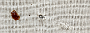 Surface defects