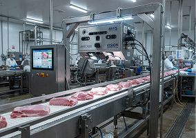 Meat processing inspection line